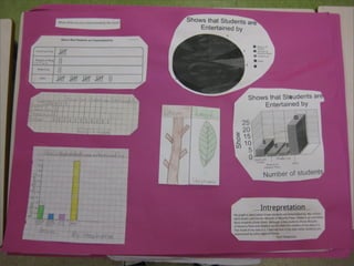 Gr 4 Data Management Projects