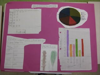 Gr 4 Data Management Projects