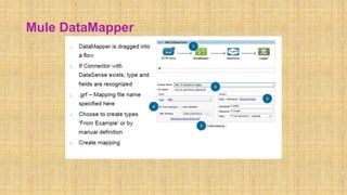 Mule DataMapper
 