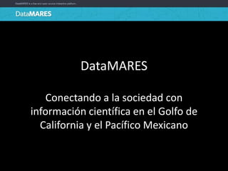 DataMARES
Conectando a la sociedad con
información científica en el Golfo de
California y el Pacífico Mexicano
 