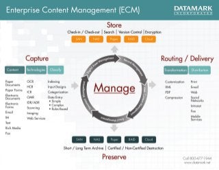 DATAMARK Enterprise Content Management Infographic