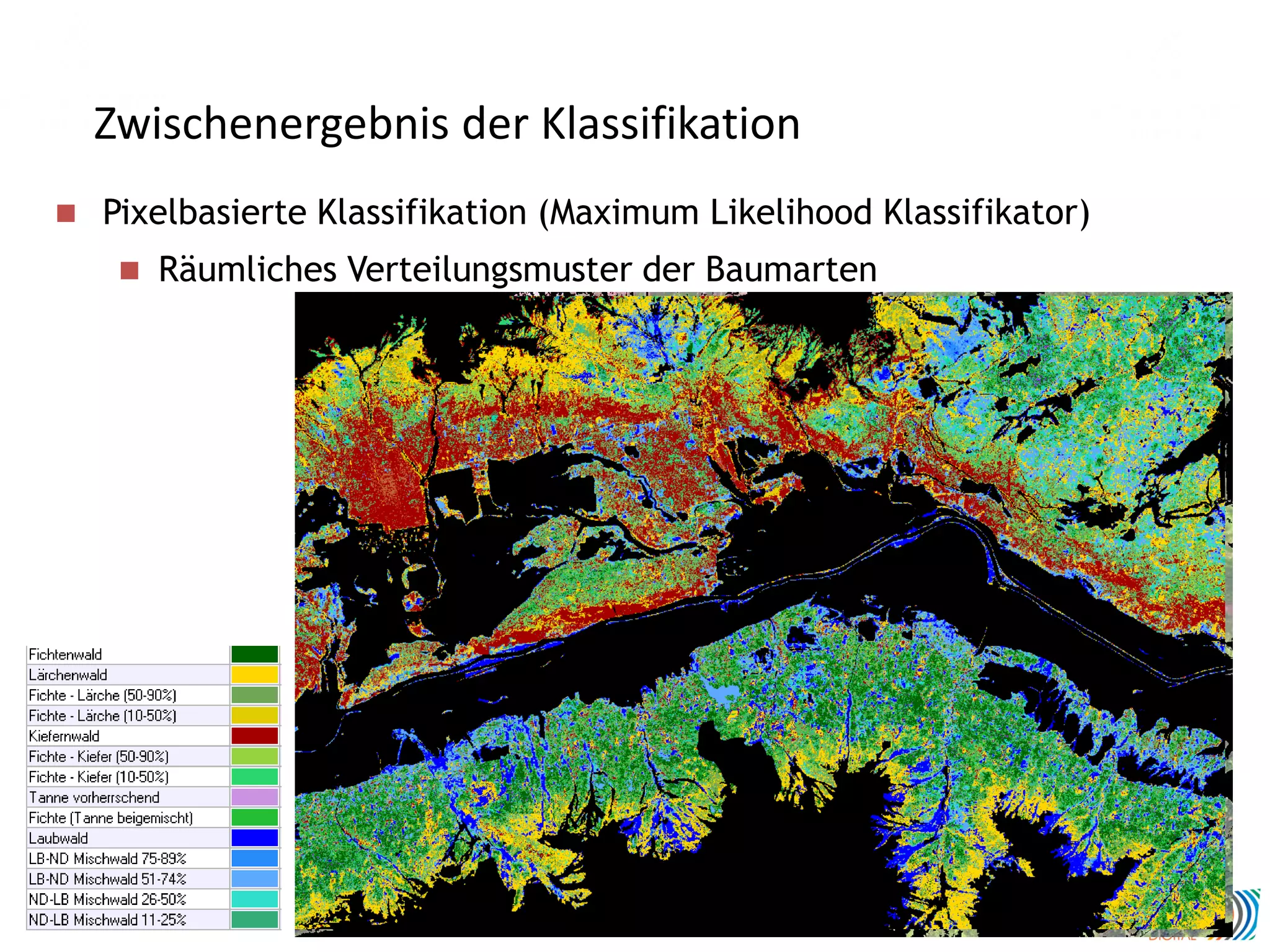 Zwischenergebnis der Klassifikation
 Pixelbasierte Klassifikation (Maximum Likelihood Klassifikator)
 Räumliches Verteilungsmuster der Baumarten
 