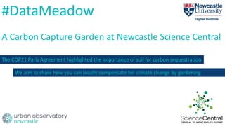 #DataMeadow
A Carbon Capture Garden at Newcastle Science Central
The COP21 Paris Agreement highlighted the importance of soil for carbon sequestration
We aim to show how you can locally compensate for climate change by gardening
 