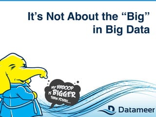 It’s Not About the “Big”
             in Big Data




                           
 