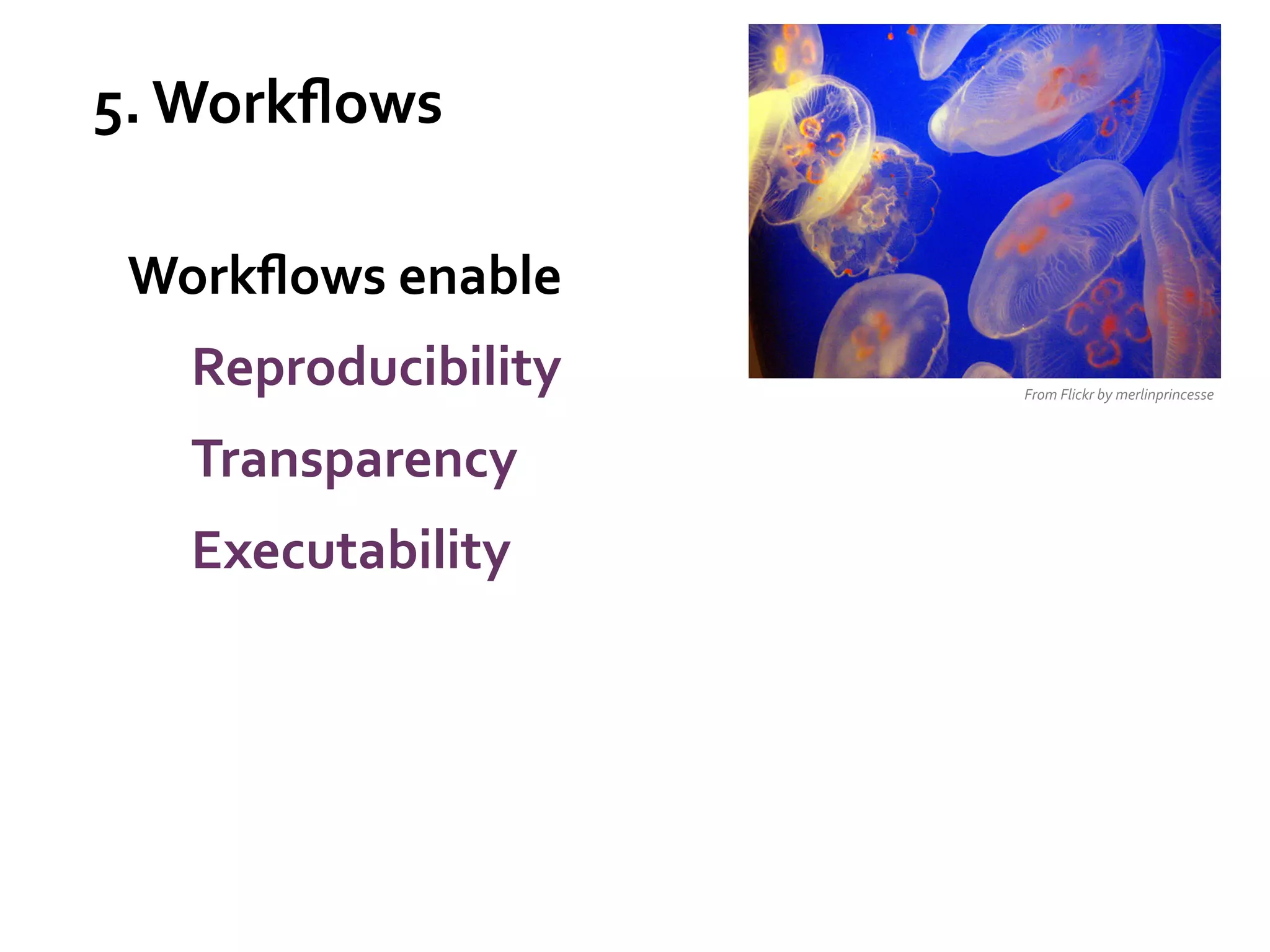 5.	
  Workﬂows	
  
Workﬂows	
  enable	
  
Reproducibility	
  
Transparency	
  	
  
Executability	
  	
  
	
  

From	
  Flickr	
  by	
  merlinprincesse	
  

 