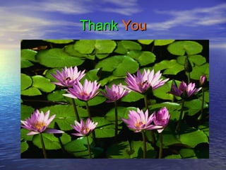 ThankThank YouYou
 