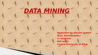 DATA MINING
Presented by- Shweta kumari
M.Sc. Bioinformatics
1st semester
Roll no-21
Central University of Bihar
 