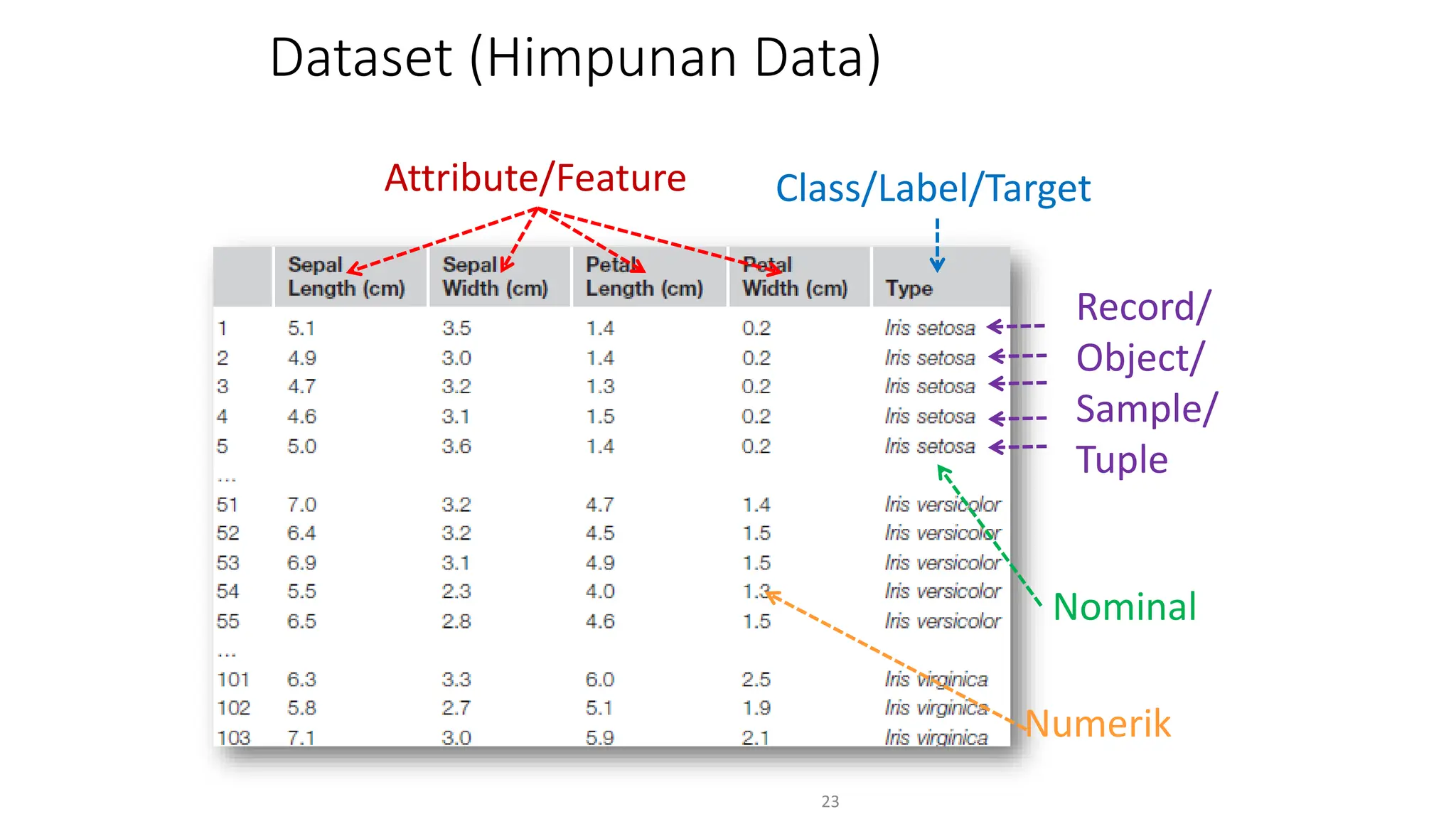 Dataset (Himpunan Data)
23
Class/Label/Target
Attribute/Feature
Nominal
Numerik
Record/
Object/
Sample/
Tuple
 