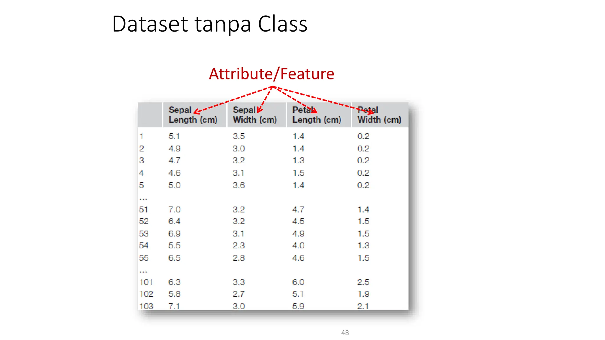 Dataset tanpa Class
48
Attribute/Feature
 