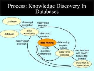 Process: Knowledge Discovery In
Databases
database
database
data
warehouse
cleaning &
integration
modify data
selection
modify data
selection
data mining
collect and
transform
discovered
patterns
data mining
engines,
models
evaluation &
presentation
user interface
and expert
knowledge
domain
modify
methods,
parameters
 