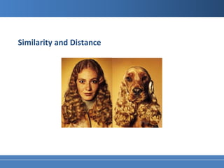 Similarity and Distance
 