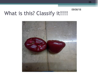 What is this? Classify it!!!!
09/06/18
36
 