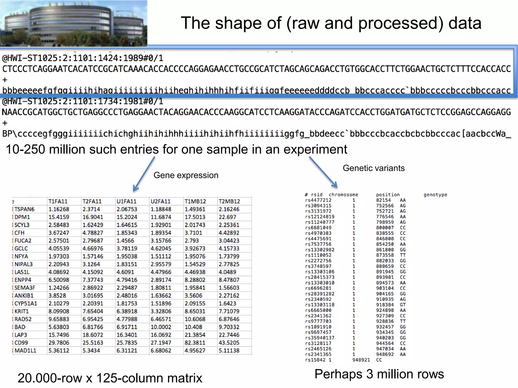 The shape of (raw and processed) data

10-250 million such entries for one sample in an experiment
Gene expression

20.000-row x 125-column matrix

Genetic variants

Perhaps 3 million rows

 