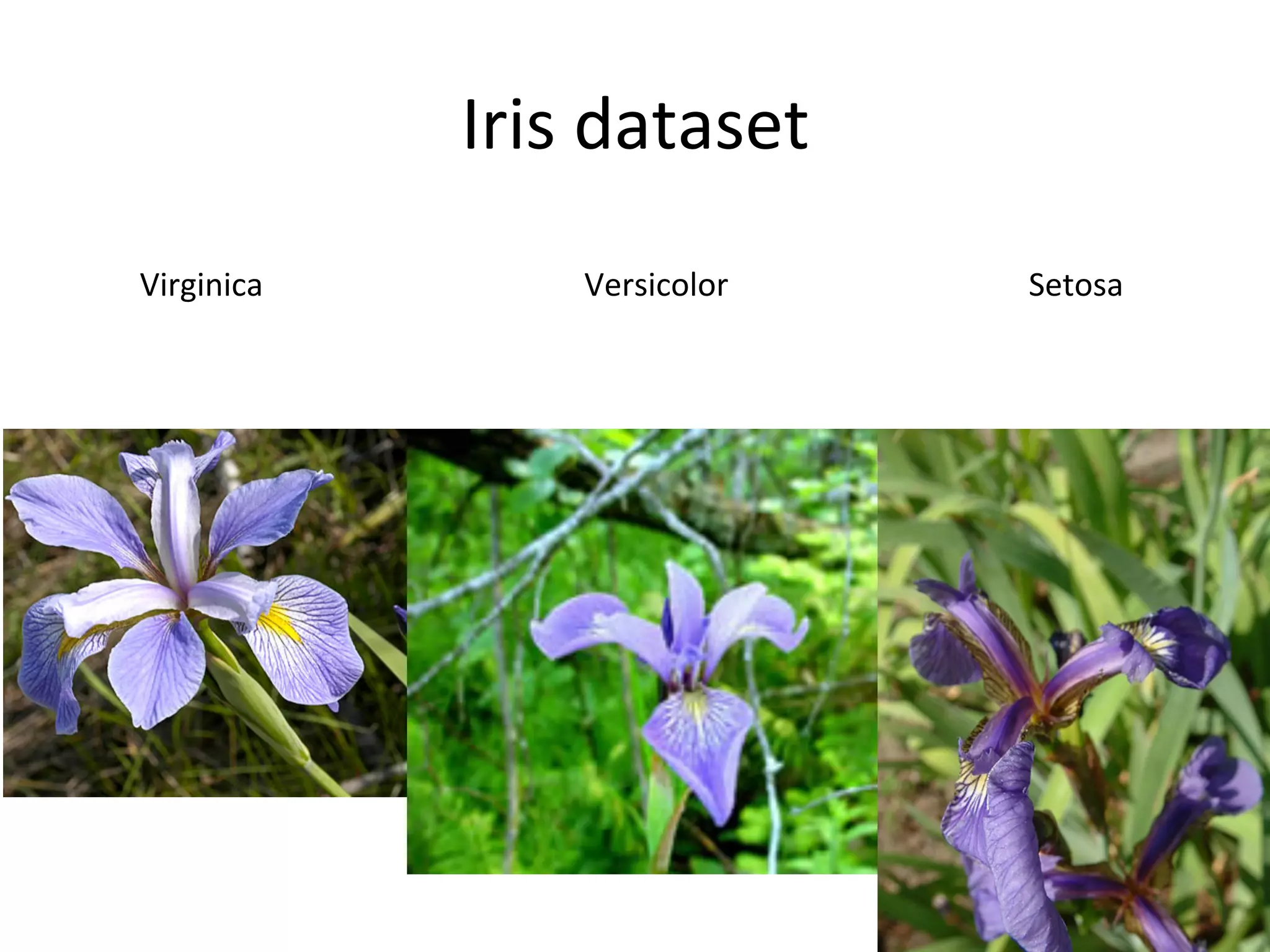 Iris	
  dataset	
  
	
   	
  Virginica	
   	
   	
   	
   	
   	
  Versicolor	
  	
   	
   	
   	
   	
   	
  Setosa	
  
 