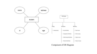 DATA MODEL PRESENTATION UNIT I-BCA I.pptx
