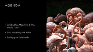 A G E N D A
• What is Data Modelling & Why
should I care?
• Data Modelling with Kafka
• Scaling your Data Model
 