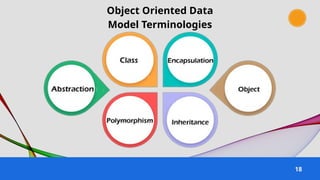 18
Object Oriented Data
Model Terminologies
 