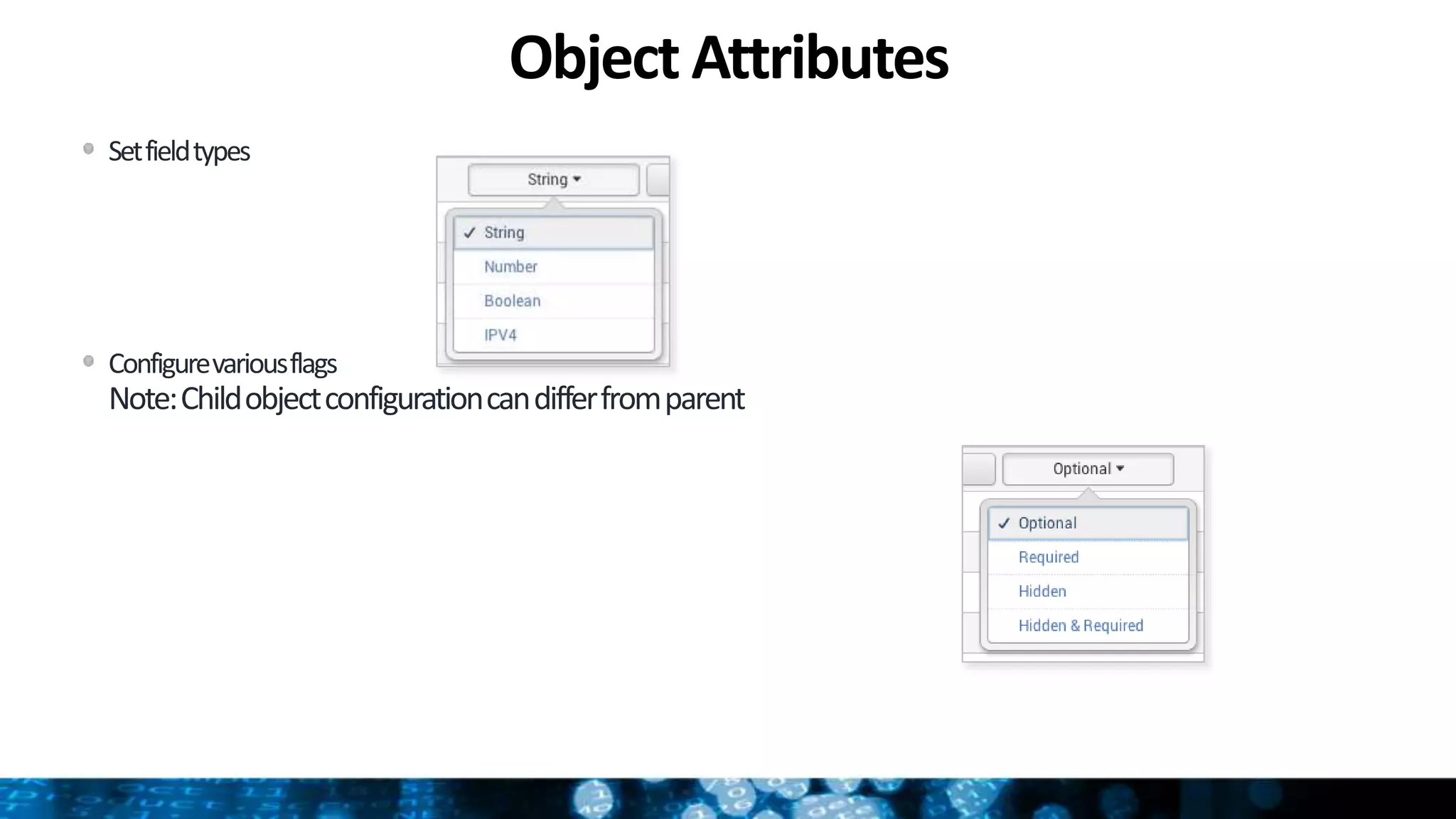Object Attributes
Setfieldtypes
Configurevariousflags
Note:Childobjectconfigurationcandifferfromparent
 