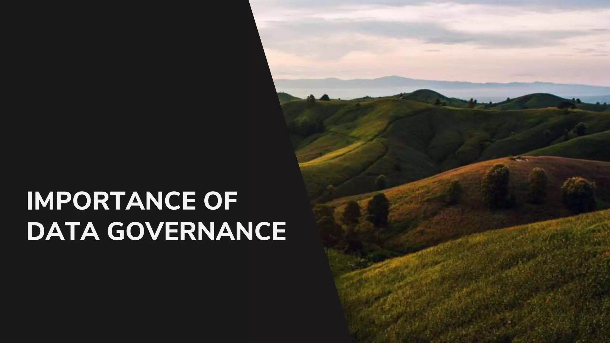 IMPORTANCE OF
DATA GOVERNANCE
 