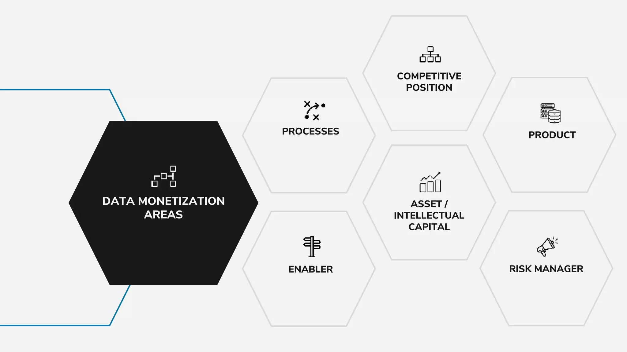 DATA MONETIZATION
AREAS
ENABLER
PROCESSES
ASSET /
INTELLECTUAL
CAPITAL
COMPETITIVE
POSITION
RISK MANAGER
PRODUCT
 