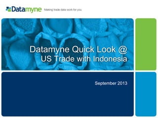Datamyne Quick Look @
US Trade with Indonesia
September 2013
 
