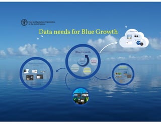 Data needs for Blue Growth