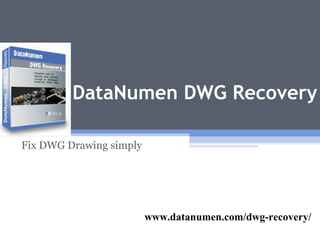 www.datanumen.com/dwg-recovery/
DataNumen DWG Recovery
Fix DWG Drawing simply
 