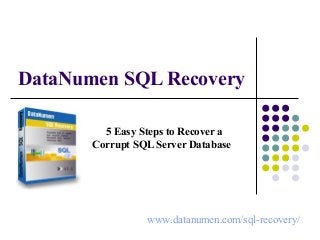 www.datanumen.com/sql-recovery/
DataNumen SQL Recovery
5 Easy Steps to Recover a
Corrupt SQL Server Database
 