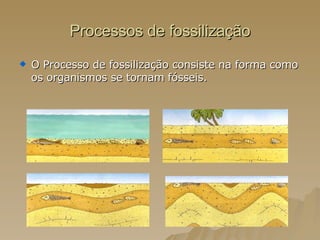 Processos de fossilização O Processo de fossilização consiste na forma como os organismos se tornam fósseis.  