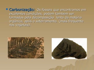 Carbonização:   Os fósseis que encontramos em excelentes condições, podem também ser formados pela decomposição  lenta da matéria orgânica, após o soterramento. (mais frequente nos vegetais).  