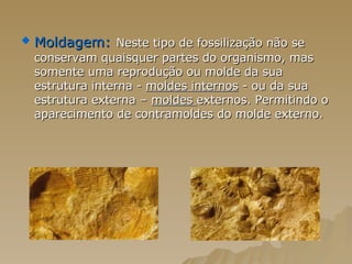 Moldagem:   Neste tipo de fossilização não se conservam quaisquer partes do organismo, mas somente uma reprodução ou molde da sua estrutura interna -  moldes internos  - ou da sua estrutura externa –  moldes  externos. Permitindo o aparecimento de contramoldes do molde externo.  