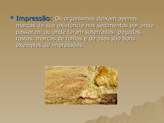 Impressão:   Os organismos deixam apenas marcas da sua existência nos sedimentos por onde passaram ou onde foram soterrados: pegadas, rastos, marcas de folhas e de asas são bons exemplos de impressões.  
