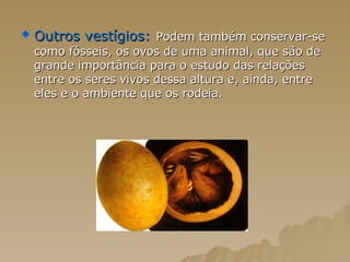 Outros vestígios:   Podem também conservar-se como fósseis, os ovos de uma animal, que são de grande importância para o estudo das relações entre os seres vivos dessa altura e, ainda, entre eles e o ambiente que os rodeia.  