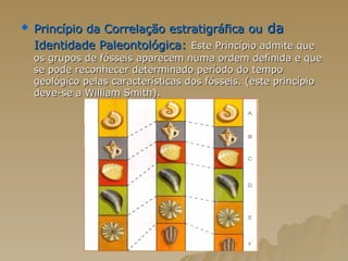 Princípio da Correlação estratigráfica ou  da  Identidade Paleontológica:   Este Princípio admite que os grupos de fósseis aparecem numa ordem definida e que se pode reconhecer determinado período do tempo geológico pelas características dos fósseis. (este princípio deve-se a William Smith).  