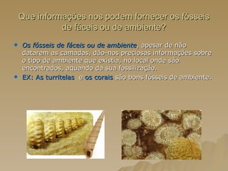 Que informações nos podem fornecer os fósseis de fáceis ou de ambiente? Os fósseis de fáceis ou de ambiente , apesar de não datarem as camadas, dão-nos preciosas informações sobre o tipo de ambiente que existia, no local onde são encontrados, aquando da sua fossilização.  EX:   As turritelas   e  os corais  são bons fósseis de ambiente.  
