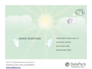 Every business dreams of    - increased profitability   - reduced costs   - improved CRM   - decreased risk ©2011 RudiBela Business Solutions Contact us for a free consultation www.rudibela.com 