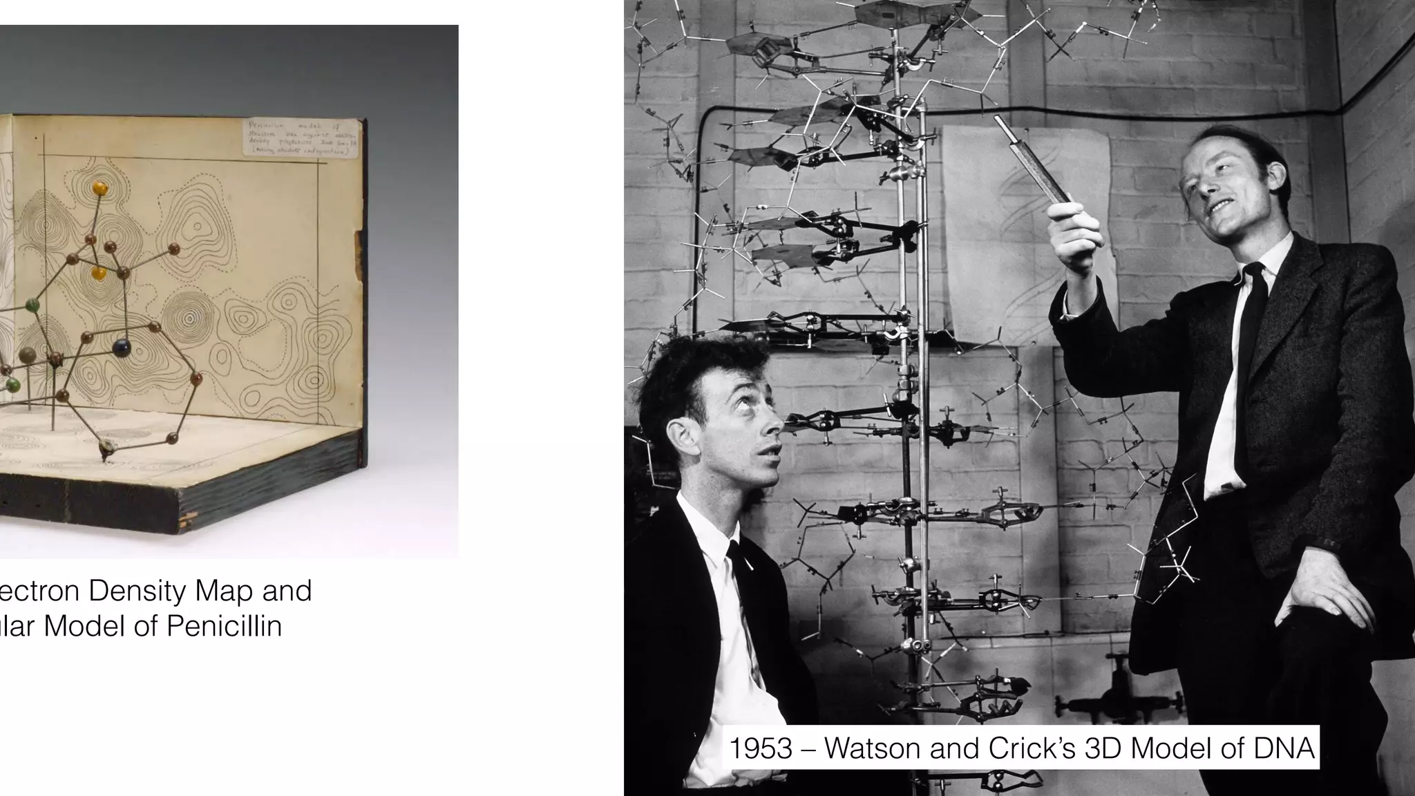 ectron Density Map and
ular Model of Penicillin
1953 – Watson and Crick’s 3D Model of DNA
 