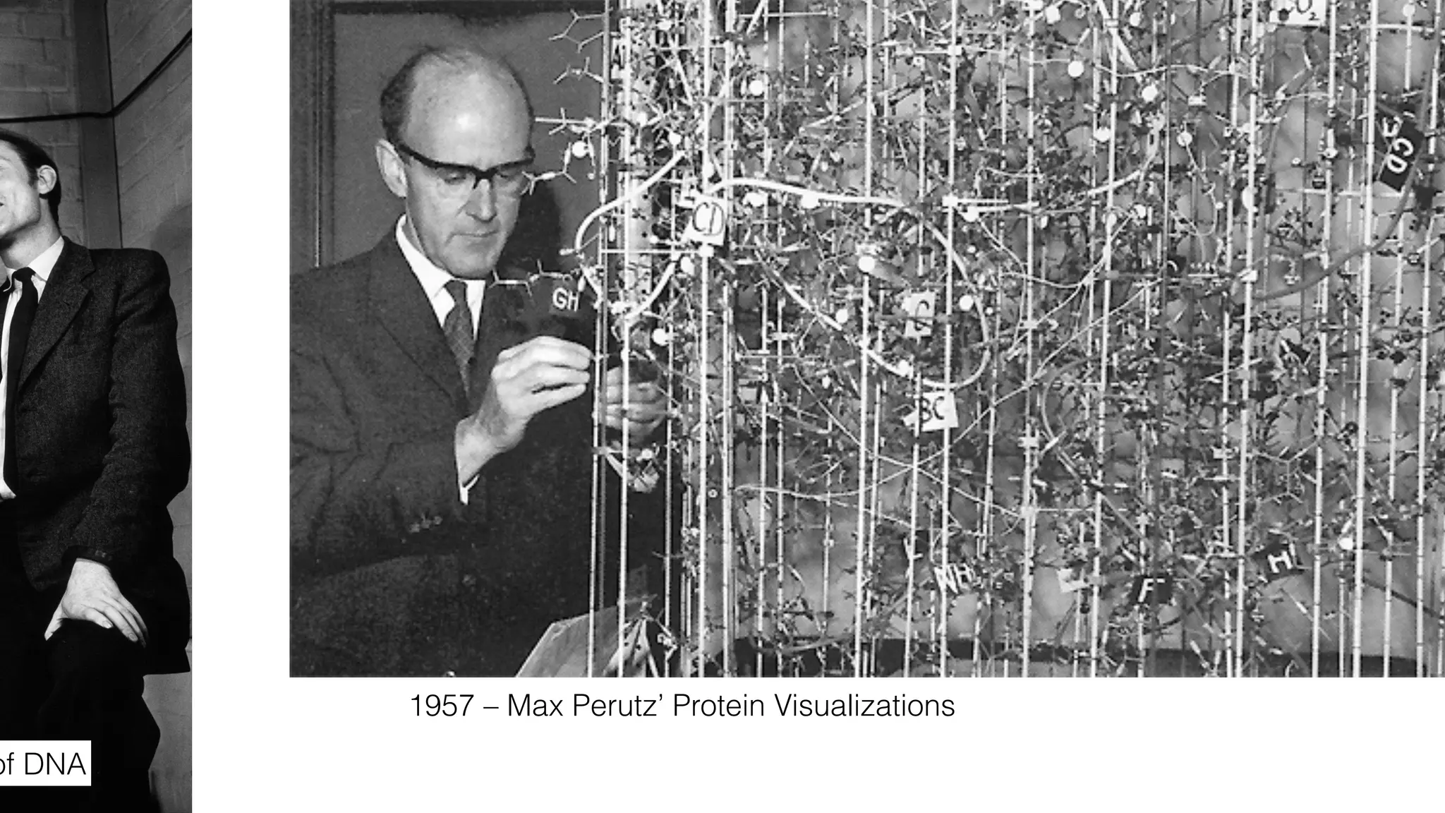 of DNA
1957 – Max Perutz’ Protein Visualizations
 