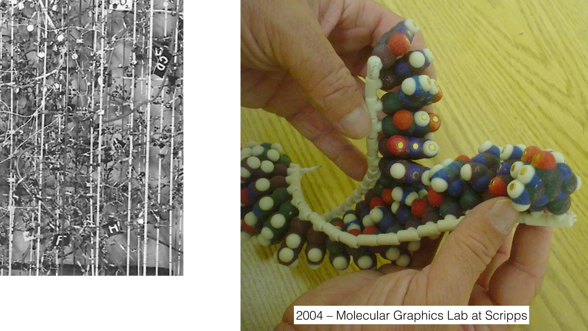 2004 – Molecular Graphics Lab at Scripps
 