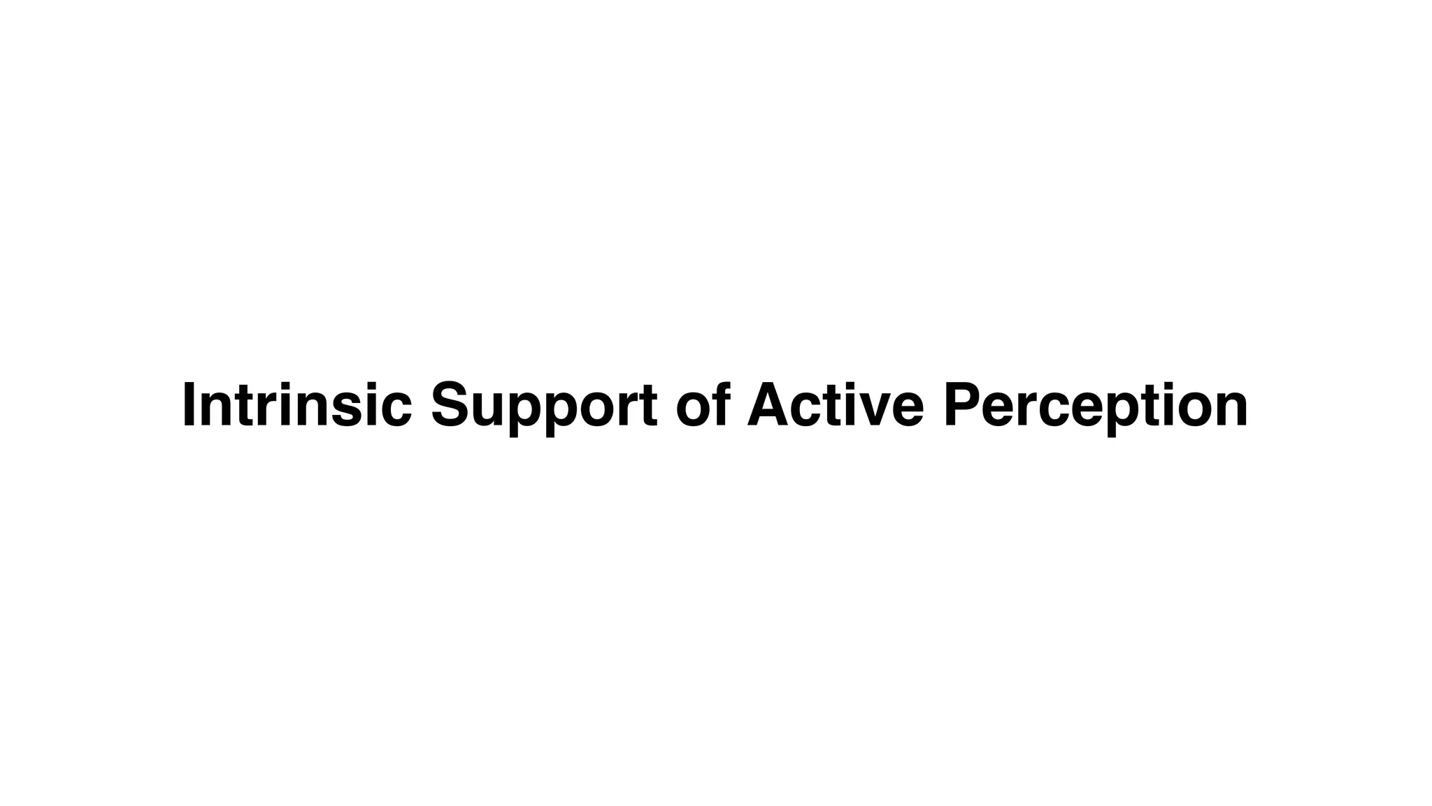 Intrinsic Support of Active Perception
 