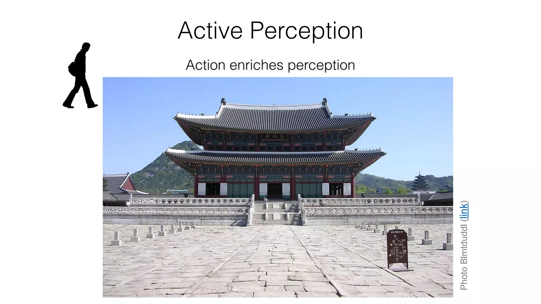 Photoappaloosa(link)
Active Perception
Action enriches perception
PhotoBlmtduddl(link)
 