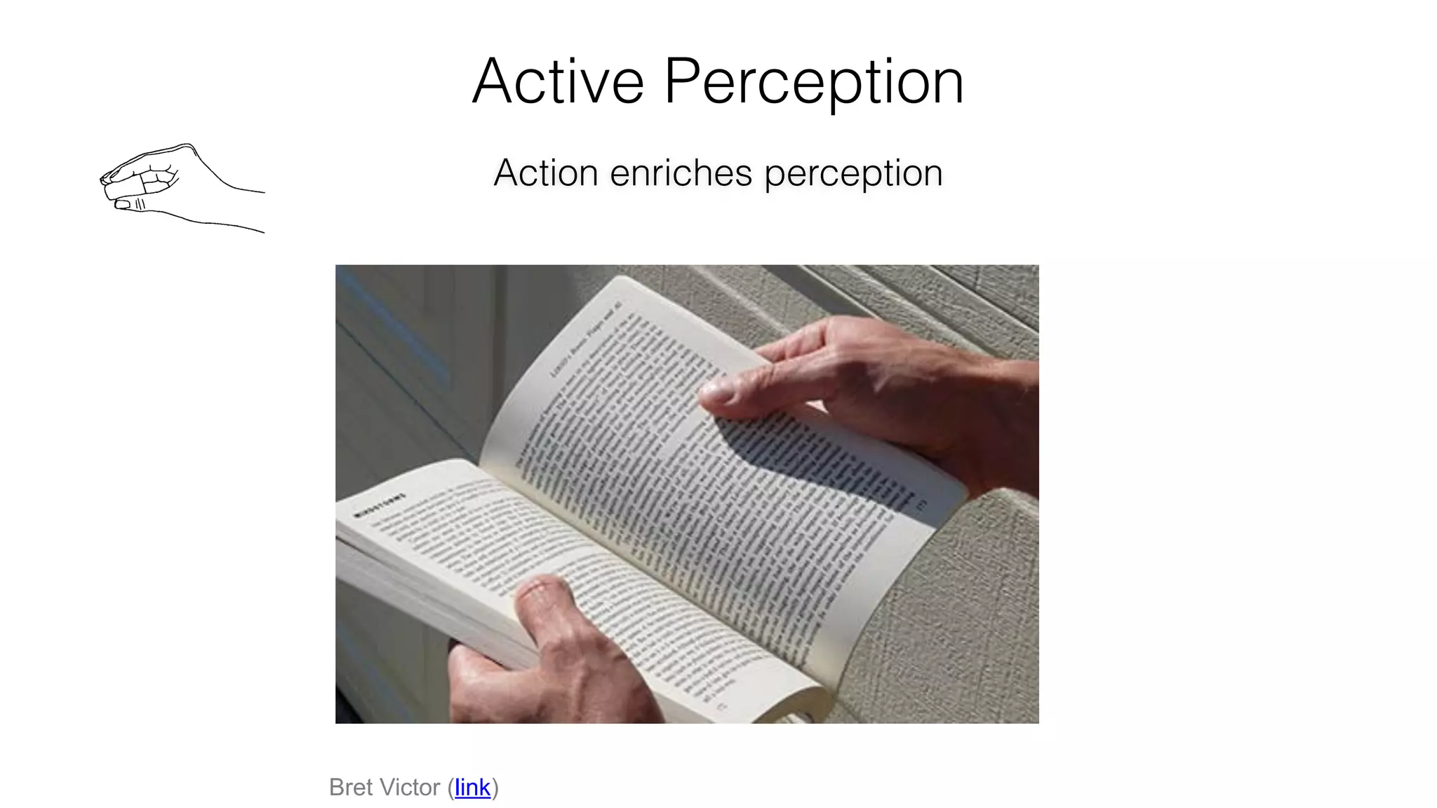 Bret Victor (link)
Active Perception
Action enriches perception
 