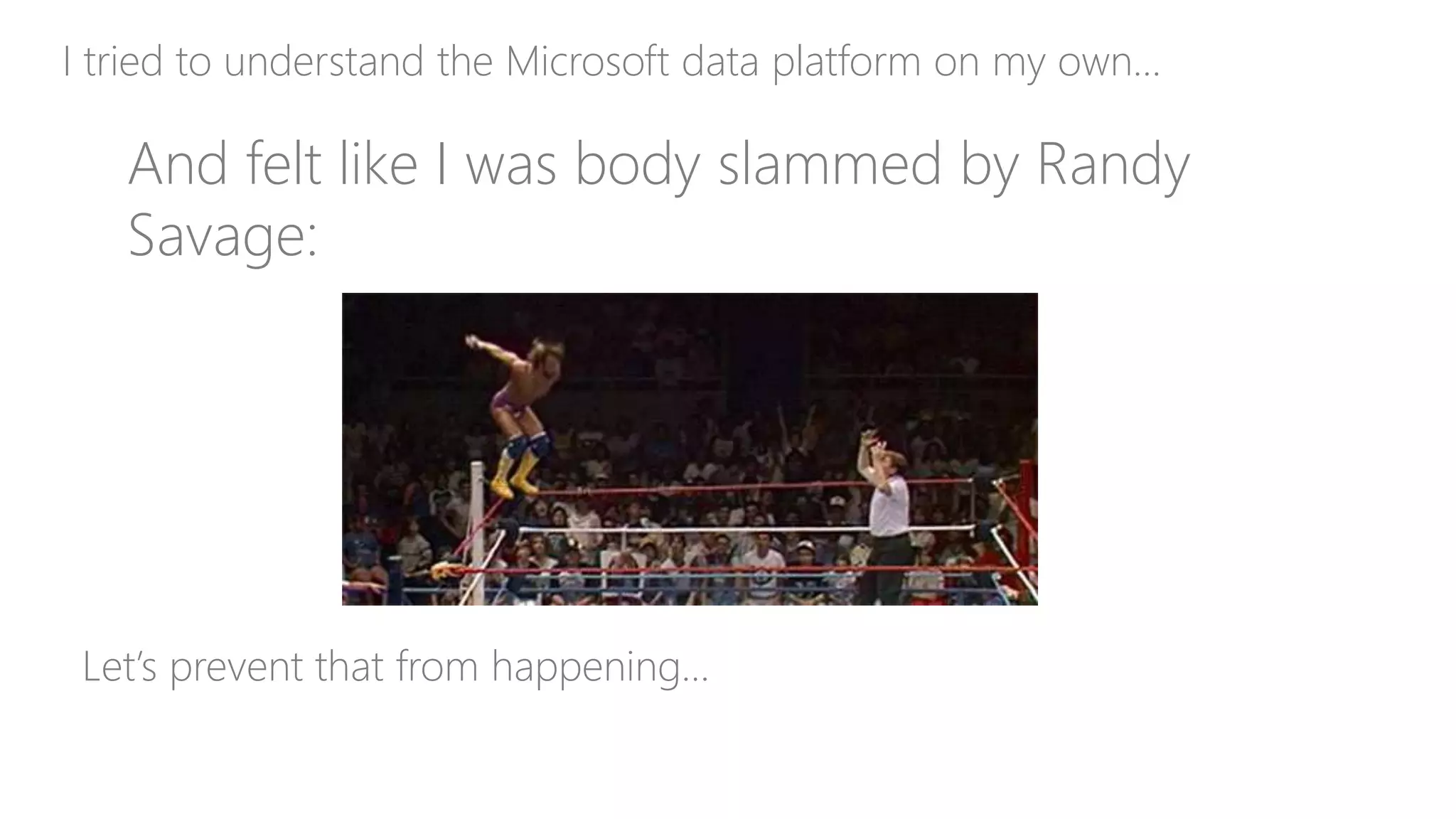 I tried to understand the Microsoft data platform on my own…
And felt like I was body slammed by Randy
Savage:
Let’s prevent that from happening…
 