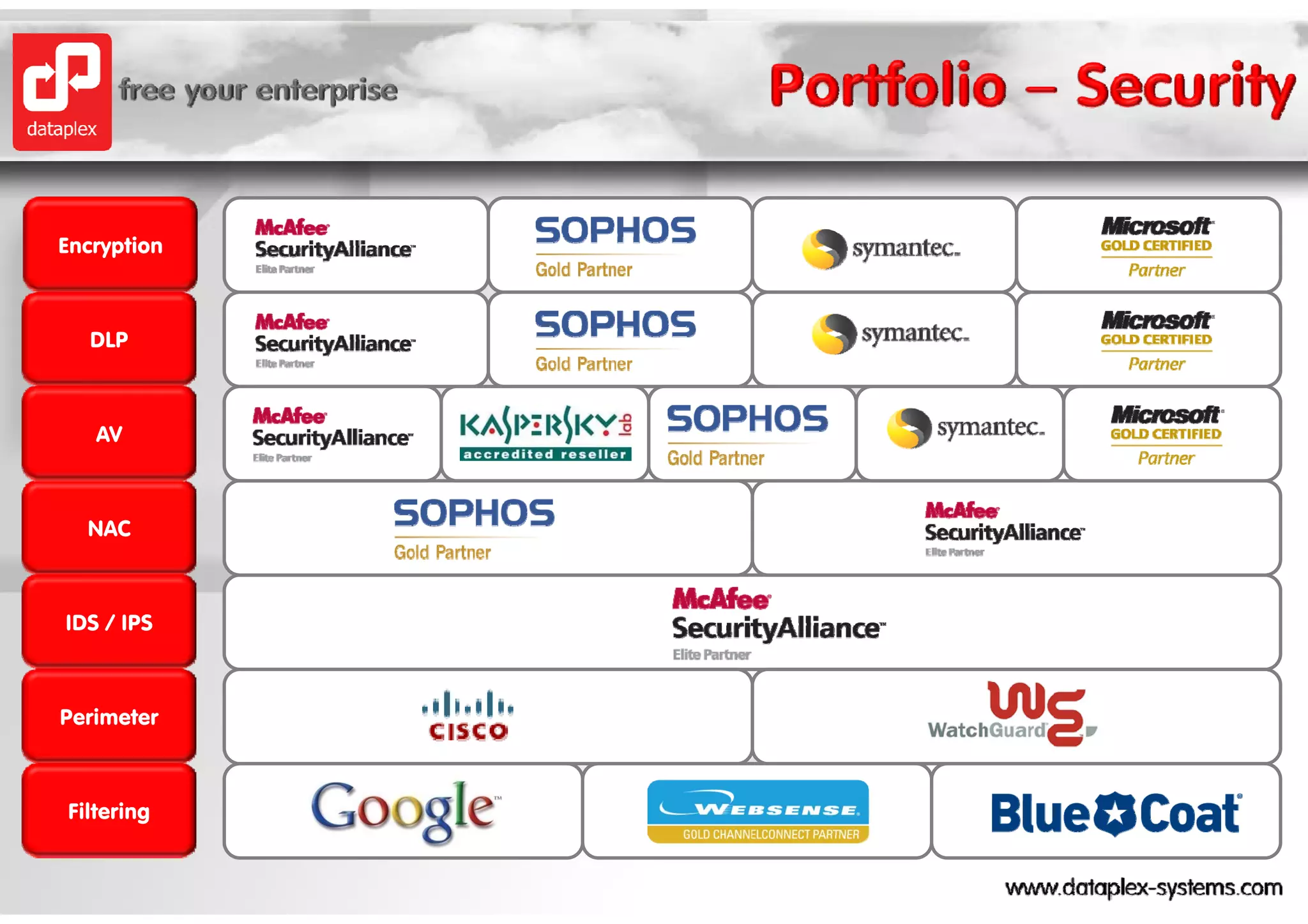 Encryption



   DLP



   AV



  NAC



IDS / IPS



Perimeter



Filtering
 