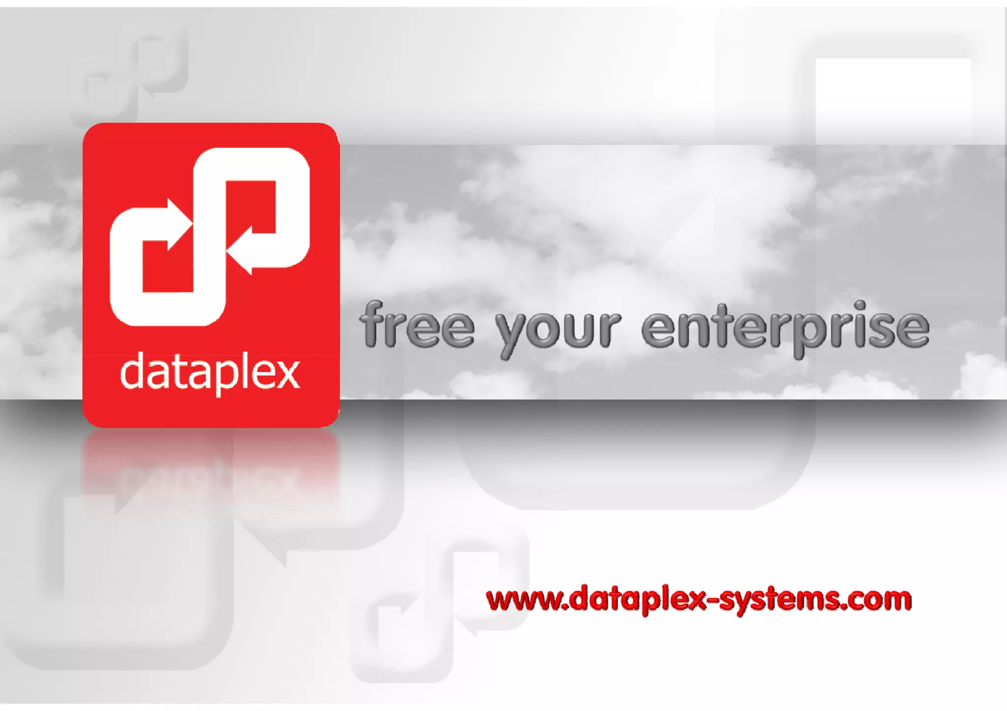 Dataplex Company Overview