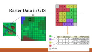 Raster Data in GIS
 