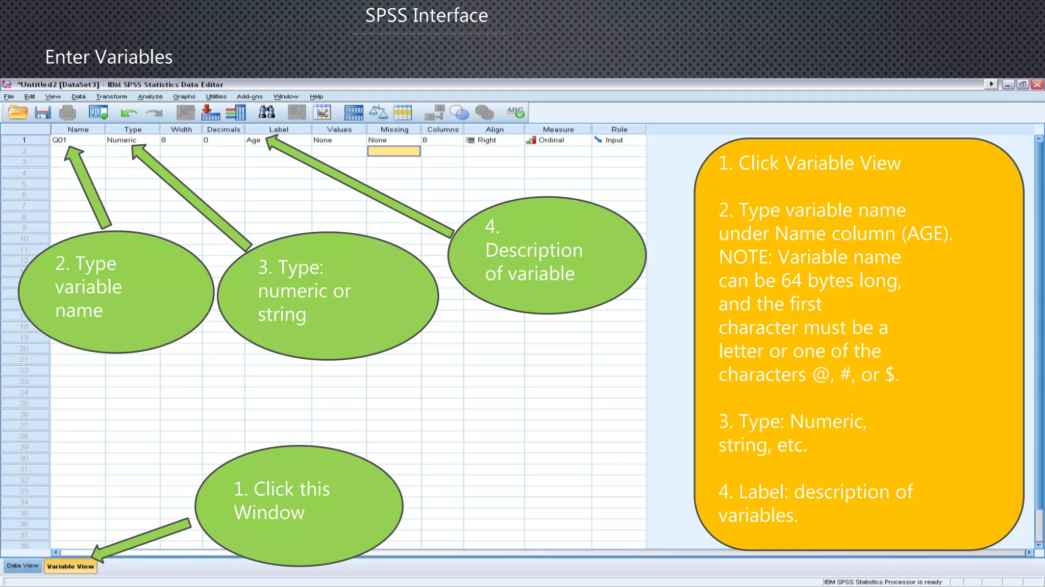 Enter Variables
SPSS Interface
1. Click Variable View
2. Type variable name
under Name column (AGE).
NOTE: Variable name
can be 64 bytes long,
and the first
character must be a
letter or one of the
characters @, #, or $.
3. Type: Numeric,
string, etc.
4. Label: description of
variables.
2. Type
variable
name
1. Click this
Window
3. Type:
numeric or
string
4.
Description
of variable
 
