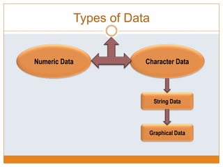 Data processing and analysis final | PPT