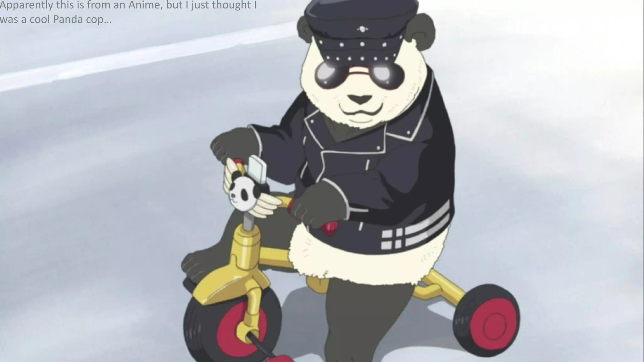 Apparently this is from an Anime, but I just thought I
was a cool Panda cop…
 