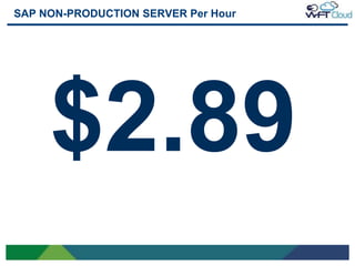 SAP NON-PRODUCTION SERVER Per Hour




     $2.89
12
 